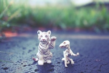 외방커뮤니티 > 사진방 > 식물원을 다녀왔어!