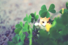 외방커뮤니티 > 사진방 > 식물원을 다녀왔어!