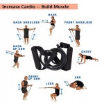 non branded Mix color Resistance Band, For Gym at Rs 50/piece in Greater Noida | ID: 22625264133 Resistance Band