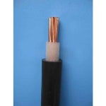 BRUCAB XLPE Single Core Armoured Cables, Rs 55 /meter Bright Cables Private Limited | ID: 12360995112 Xlpe Single Core Armoured... 