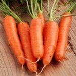 Fresh Carrot, Packaging: Plastic or Polythene Bag, Rs 30 /kilogram | ID: 14260884012 Fresh Carrot