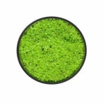 Neon Glow Aquarium Chips, Size: 5-15mm, Packaging Type: PP Bag, Rs 17/kg | ID: 21626474033 Neon Glow Aquarium Chips