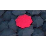 Apex Red,Black Large Umbrella, Size: 50-60 Inch ( Diameter ), for Rain, Rs 102 /piece | ID: 11872098791 Large Umbrella