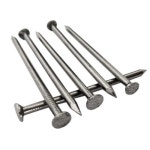 Stainless Steel Construction Nails, Packaging Type: Pp Bag, Size: 3 Inch, Rs 110 /kg | ID: 20332267930 Stainless Steel...