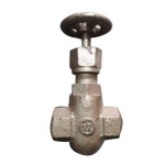 Globe Valve - Ammonia Check Valve Manufacturer from New Delhi