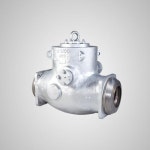 Medium Pressure Stainless Steel Check Valves, Socket Weld, Valve Size: 15 - 50 Mm, | ID: 8173281162 Check Valves