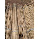 2 - 36 Feet Laga Bamboo Pole, Thickness: 6-15 Mm, Rs 50 /piece Singla Timber Traders | ID: 21714331562 Laga Bamboo Pole