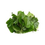 Green Mulberry Leaves, Packaging Type: PP Bag, Grade: A Grade, Rs 280 /kg | ID: 8479275891 Mulberry Leaves