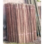 2 - 36 Feet Bolga Bamboo Pole, Thickness: 6-15 Mm, Rs 50 /piece Singla Timber Traders | ID: 21691607330 Bolga Bamboo Pole
