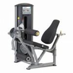 True Leg Extension, For Gym, Model Name/Number: FS-60 at best price in Noida True Leg Extension