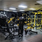 Gym Setup Services at Rs 100000/set up in Mumbai | ID: 2850364231291 Gym Setup Services