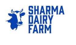 Wholesale Trader of Buffalo & Murrah Buffalo by Sharma Dairy Farm, Bhind