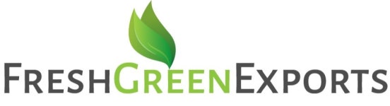 Button Rose and Flower Bouquet Wholesaler | Fresh Green Export, Bengaluru