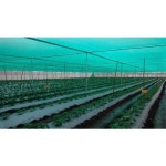 Neha HDPE Plastic Nursery Shade Net, Packaging Type: Roll, Rs 12.6 /square meter | ID: 19848881073 Nursery Shade Net