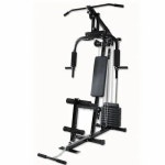 Back Personal Multi Gym, Weight: 170 Kgs, Model Name/Number: NFSM001 at Rs 28000 in Meerut Multi Gym