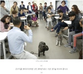 서울시 50+ 서부캠퍼스 | [신직업 시리즈] 반려동물관리사·펫시터 도전하기 ②편 [신직업 시리즈] 반려동물관리사·펫시터 도전하기 ②편