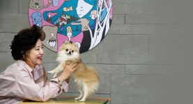 검색 | 서울시 50플러스포털