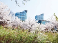 서울시 50플러스포털 | [라이프몽땅]건강·문화·여유가 흐르는 즐거운 시니어타운