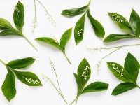 강좌 - 상세 | 서울시 50플러스포털 [열린학교] 바늘 끝에서 피어오르는 나만의 자수