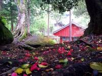 서울시 50+ 중부캠퍼스 | 오감을 자극하고 맑은 위로를 주는, 숲으로 가자