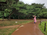 서울시 50플러스포털 | [라이프몽땅][내 삶의 쉼표 찍기 5] 요즘 당신의 관심사는 무엇입니까?