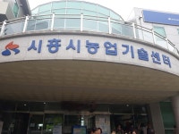 서울시 50+ 남부캠퍼스 | 연성동 연꽃테마파크에 가다 연성동 연꽃테마파크에 가다