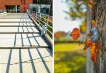 서울시 50플러스포털 | [남부]우리 주변에 자연이 있다. 동네 공원 이야기 우리 주변에 자연이 있다. 동네 공원 이야기