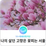 서울시 50+ 중부캠퍼스 | [나의 살던 고향은 꽃피는 서울] 4. 먹골 엘레지 [나의 살던 고향은 꽃피는 서울] 4. 먹골 엘레지     