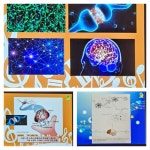 프로그램 리뷰 - 상세 | 서울시 50플러스포털 코로나 블루, 음악으로 풀어내다(제 1차)