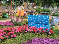 서울시 50+ 북부캠퍼스 | 물길 따라 걷는 꽃길, 당현천 물길 따라 걷는 꽃길, 당현천