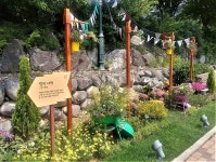 서울시 50+ 북부캠퍼스 | 물길 따라 걷는 꽃길, 당현천 물길 따라 걷는 꽃길, 당현천