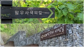 서울시 50+ 북부캠퍼스 | 망우리공원 인문학 사잇길 망우리공원 인문학 사잇길