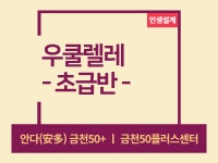 강좌 - 상세 | 서울시 50플러스포털 [인생설계-악기교실] 우쿨렐레(초급반) (오프라인)