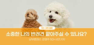 서울시 50플러스포털 | [남부]“소중한 나의 반려견 맡아주실 수 있나요?” “소중한 나의 반려견 맡아주실 수 있나요?”
