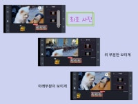 서울시 강동센터 | [일활동-커리어개발]유튜브 크리에이터 양성_입문 2기