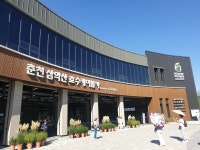 서울시 50+ 남부캠퍼스 | 춘천으로 떠난 공감 여행 - 시민기자단 강명주 기자