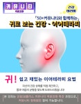 강좌 - 상세 | 서울시 50플러스포털 [커뮤니티 역량강화]귀로 보는 건강 이어테라피 (통증관리)