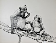 Two Monkeys - 62 For Sale on 1stDibs | monkeys for sale, two monkeys in one frame, where are the two monkeys Two Monkeys - 62 For... 