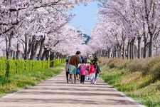 8 Best Family Things to Do in Gangneung - Fun Places in Gangneung to Take Your Kids – Go Guides