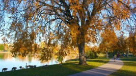 Seasons to Visit Denver |Travelocity Seasons in Denver