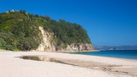 Hahei Pictures: View Photos & Images of Hahei