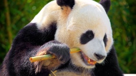 Pictures: Beautiful Photos from Around the World | Expedia