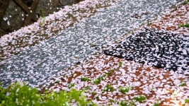 자유공원 사진: 자유공원 사진 및 이미지 보기