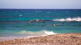 이스트 케이프 사진: 이스트 케이프 사진 및 이미지 보기