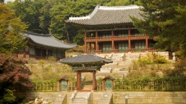 South Korea Pictures: View Photos & Images of South Korea