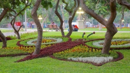 엑스포 공원 사진: 엑스포 공원 사진 및 이미지 보기