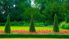 Gardens & Parks Pictures: View Images of Palace Park
