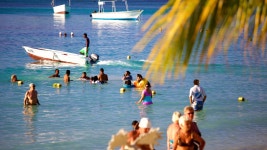 Top 10 Hotels with a Gym in Mauritius $32: Fitness Center On-Site