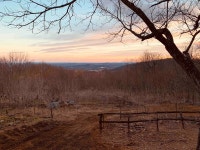 Americas Vacation Rentals - Airbnb