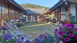 장평동, 한국 Vacation Rentals - Airbnb